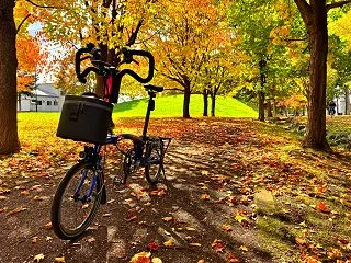 BROMPTON（P）でポタリング～ヨシ…