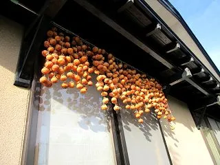 軒下の干し柿大丈夫でしょうか