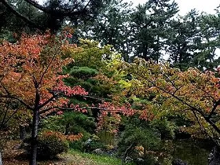 白山公園