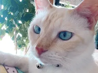 暖かいかもしれない