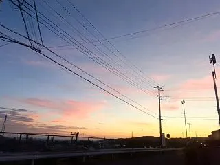 ロビンエッグブルー