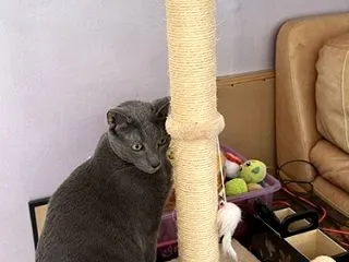 こらーーーっルーク！！