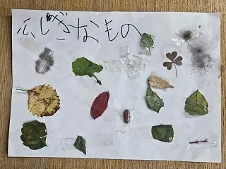 4人の女の子が見つけた、不思議な世界