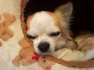 お疲れちやん(笑)
