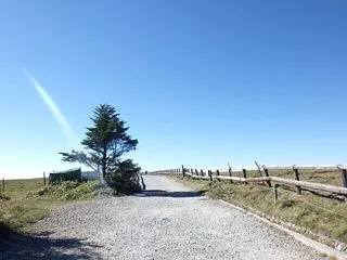 帰ってきました