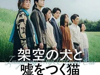『架空の犬と嘘をつく猫』