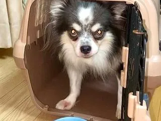 いっくんです！