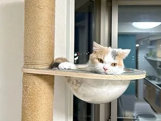 プッチンのいただきます
