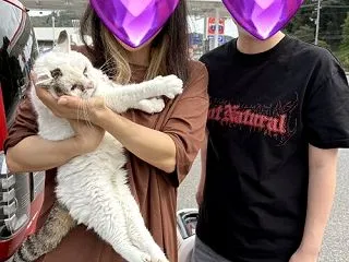 超スピード更新