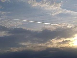 雷無月、19日目