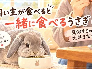 飼い主が食べると一緒に食べるうさぎ｜真似…
