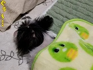 活動時間が短い？