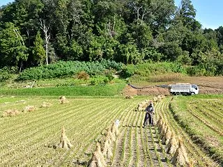 blog「恩田の森Now」を更新いたしま…