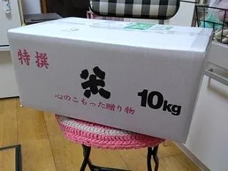 思わずヤッター！と叫ぶ