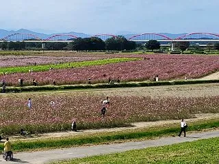 2029.10.17(土)ぶらり半日ベリ…