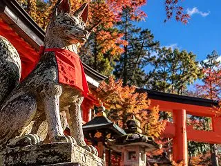 狛犬さんと眷属さんの違い。