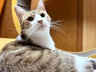 別飯員