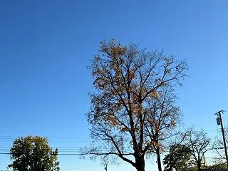 新しいガソリンスタンド