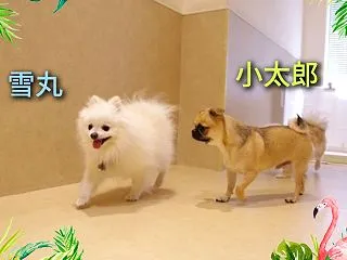 今年は何の秋にする？
