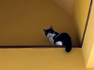 今日はいろんなところで寝てたみたいだよね…