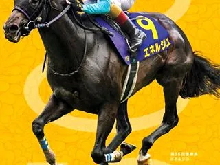 『菊花賞』枠順確定前考察