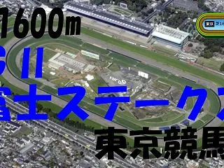 2026年 富士S（GⅡ）の競馬予想～重…