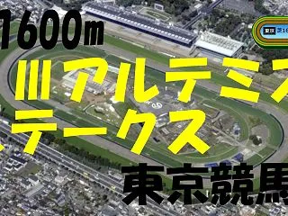 履歴）アルテミスS（GⅢ）の競馬予想～重…