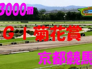 履歴）菊花賞（GⅠ）の競馬予想～重賞展開…