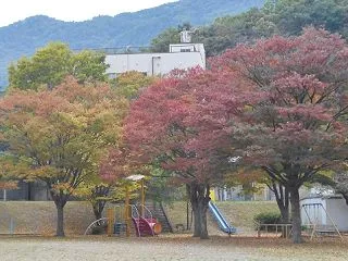 現在の世界情勢は100年前に戻ったの?