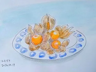 ホオズキです。