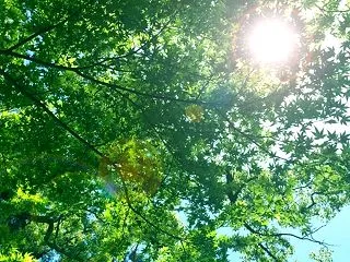 世界は自作自演と聞いて苦しくなった人へ