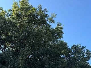 ボトックス治療の勉強会に。