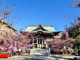 桜神宮 / 東京都世田谷区