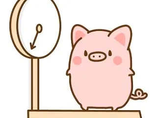 補助金の日程に振り回されて