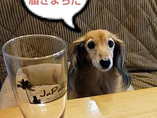 「じゃぱり」、復活を応援してます！