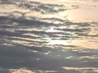 動かぬ猫達と命日。