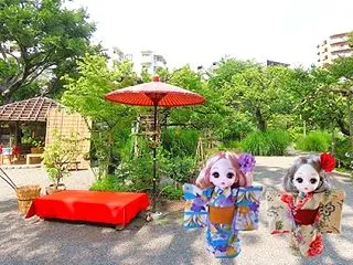 ツミとオナガの向島百花園♪