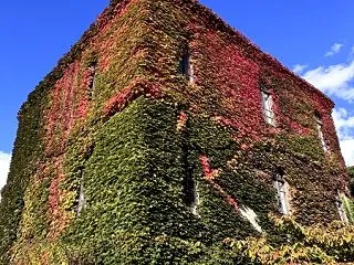 10月24日（土）から開館いたします