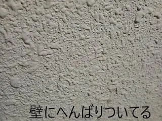 一寸の虫にも五分の魂