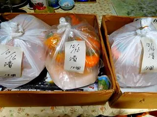 頑張って咲いた二種の花 （ ´∀｀）つ