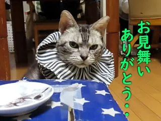 コーヒーで一息