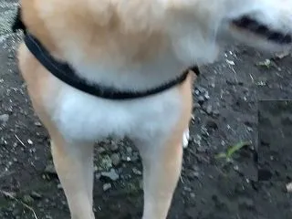 夕方はひんやり