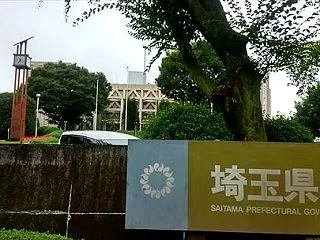 粉化