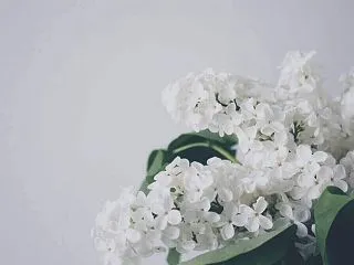 今日のマヤ暦「意識的にリラックスしましょ…