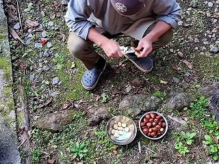 栗むき
