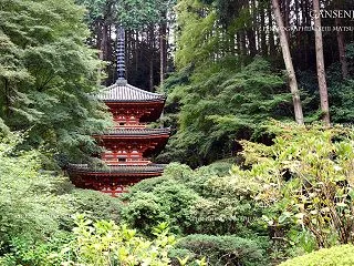 京都 岩船寺 「小さな山寺・・・ご住職様…