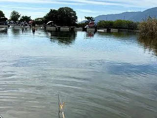 稲穂が刈られた頃に in 朝日池（10/…