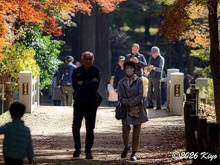 2025年11月24日、α7C IIとO…