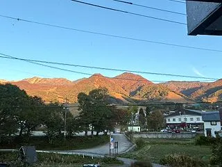 レイと朝んぽ