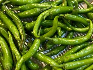 ミミズコンポストに植えた野菜苗。１番安く…